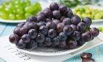 葡萄的功效作用及食用禁忌