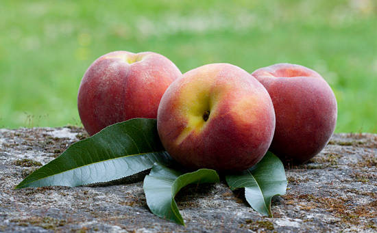 水蜜桃的功效作用及食用禁忌