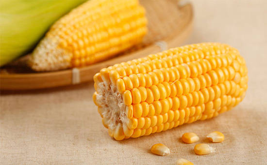 玉米的中医功用营养价值