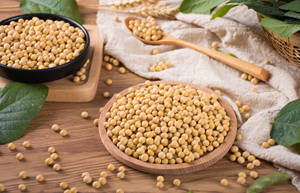 黄豆的营养及功效作用