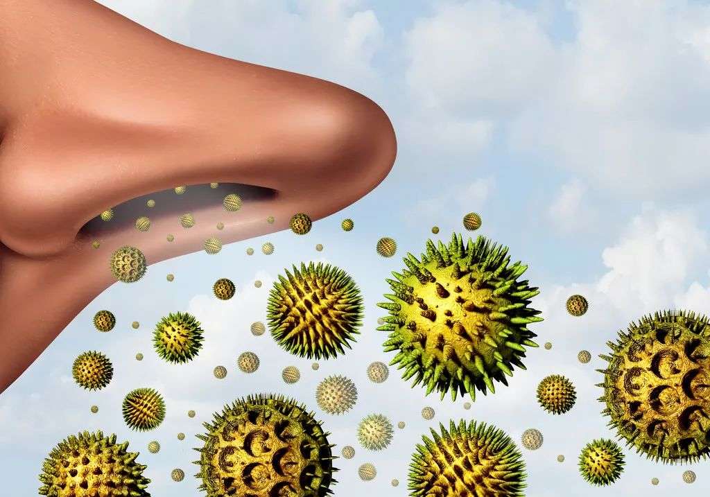 花粉是春天最主要的过敏原