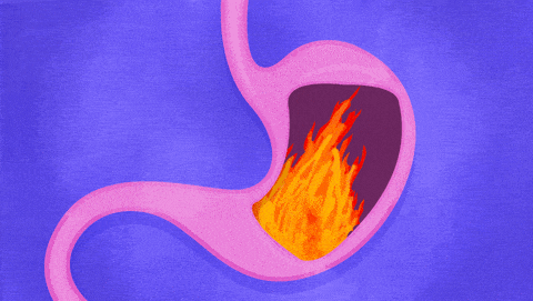 慢性肠胃炎的症状 病因及饮食建议 健康驱动力