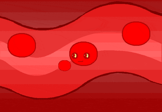 血管内壁