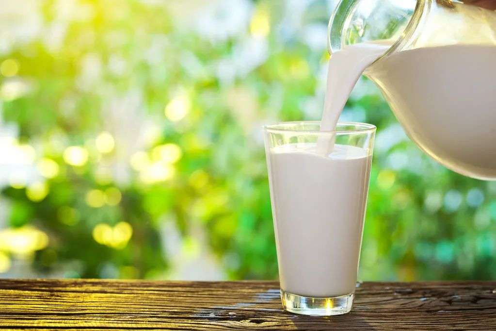 高尿酸人群夏季可以喝牛奶
