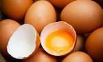 吃鸡蛋会的好处及如何吃鸡蛋更健康