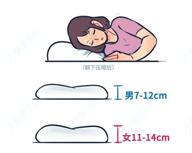 侧睡头部枕头高度
