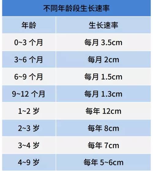 不同年龄段生长速率表