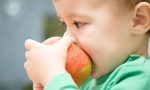 宝宝冬天水果该怎么吃？哪些水果适合给娃吃？