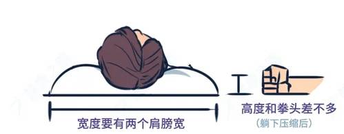 枕头宽度高度指标