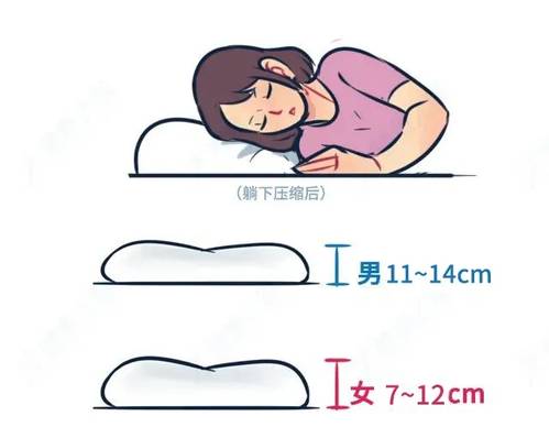 侧睡枕头高度