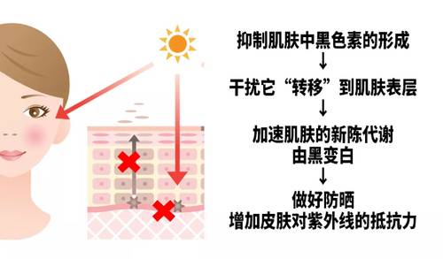 给肌肤打造一个不易变黑的环境