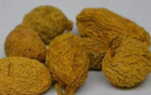 金果榄的药材性状、主治功效
