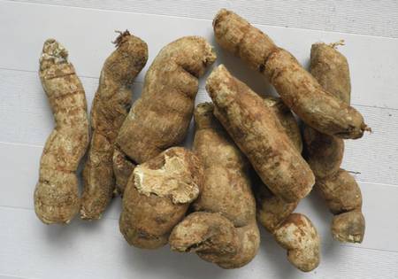 粉防己的药材性状、主治功效