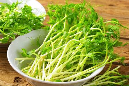 豌豆芽促进阳气生发