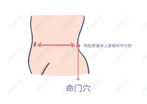 命门穴