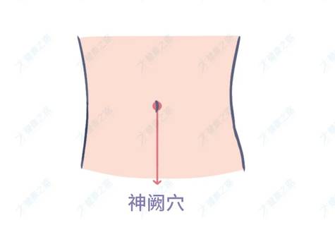 神阙穴