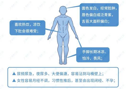 热性体质特征