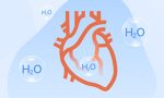 怎样喝水有益心血管健康，能预防心脏疾病