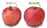 秋季如何食用苹果，既补津液又健脾胃