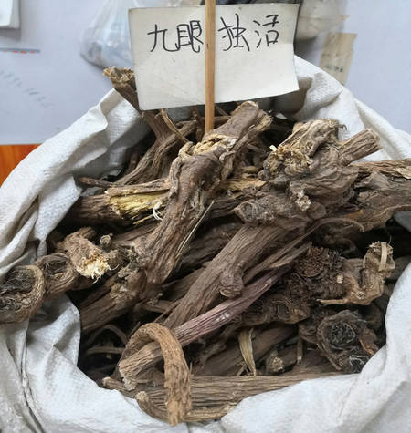 中药材九眼独活的药材性状、主治功效