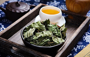 “霜降”后采摘的桑叶更有效？霜桑叶怎么用？