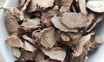 中药材白菖蒲的药材性状、主治功效