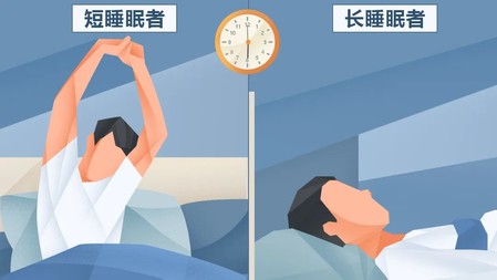 每天睡多久才算睡眠充足